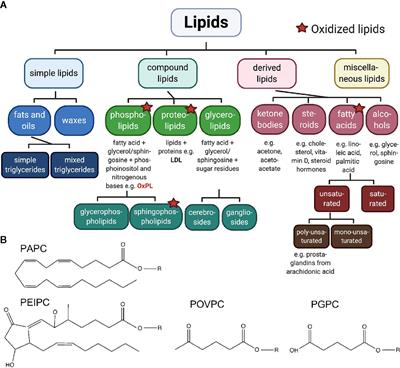 Pain Control by Targeting Oxidized Phospholipids: Functions, Mechanisms, Perspectives